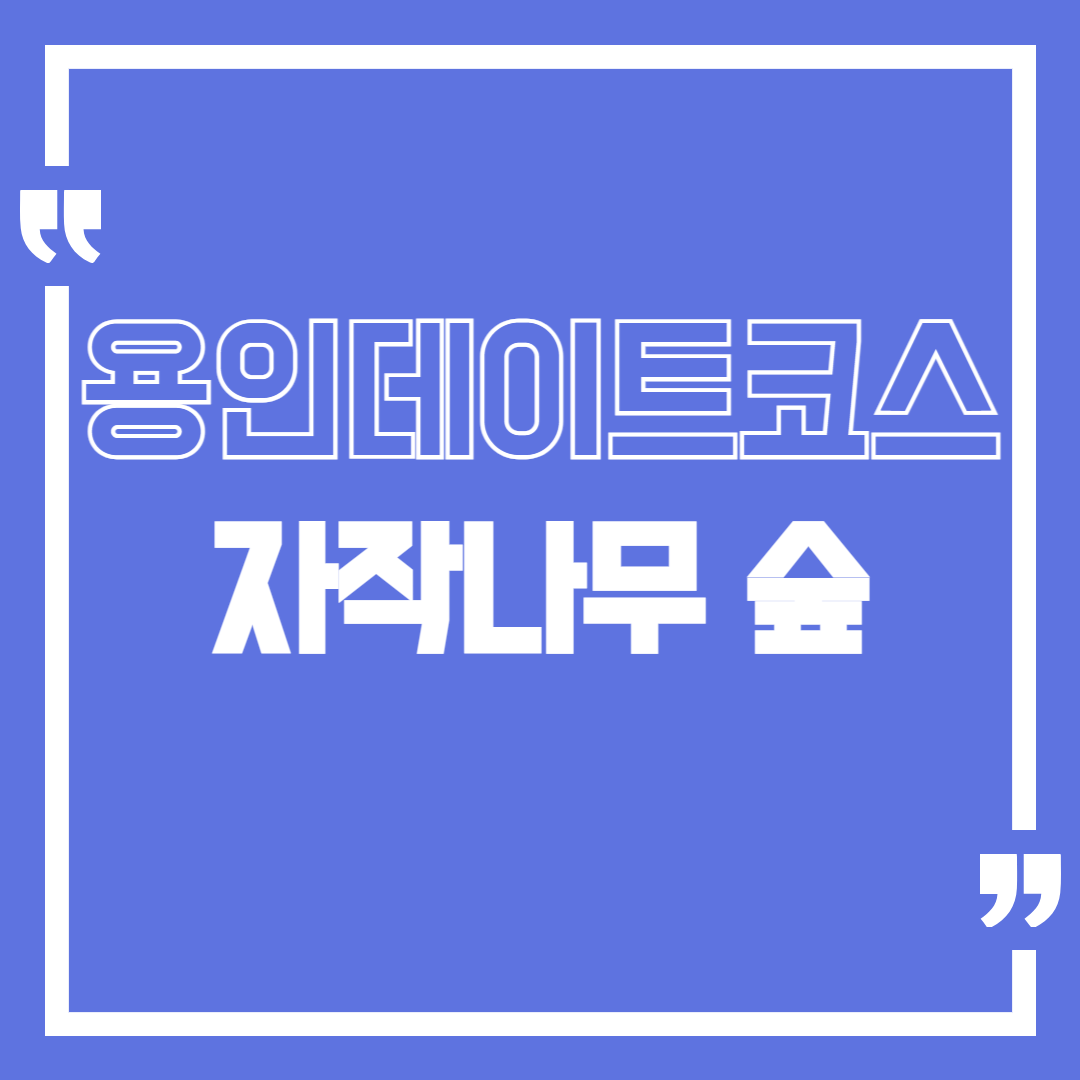 용인 자작나무숲 수목원! 용인 데이트 코스 가볼만한 곳