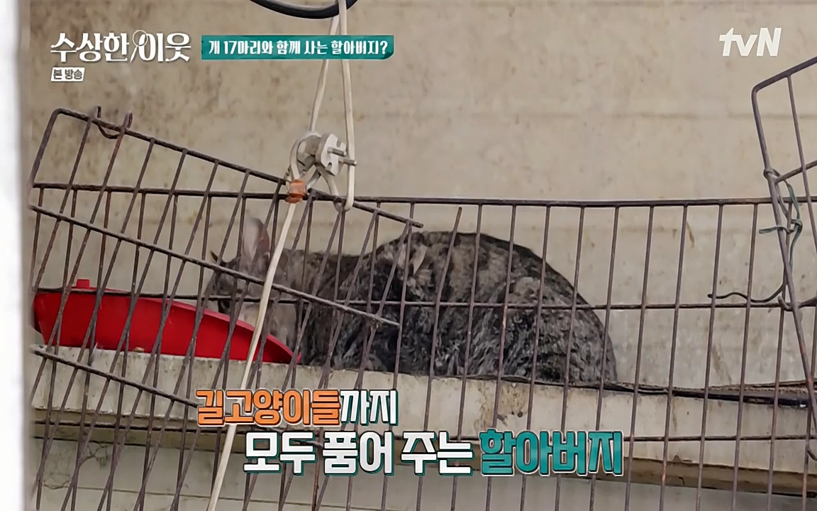 수상한 이웃.E04.220422p-NEXT.mp4_20220424_193452.181.jpg