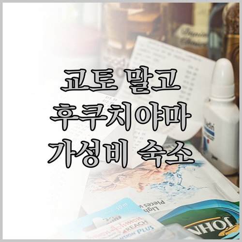 교토 여행 숙소 고민 끝! 후쿠치야마
