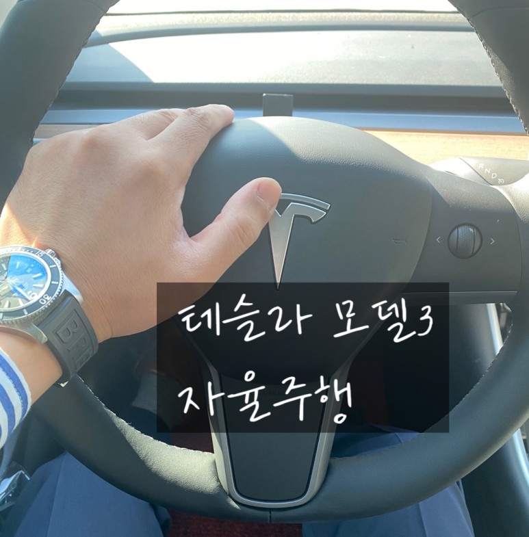 고속도로 국도 자율주행 테스 라 모델 3 3