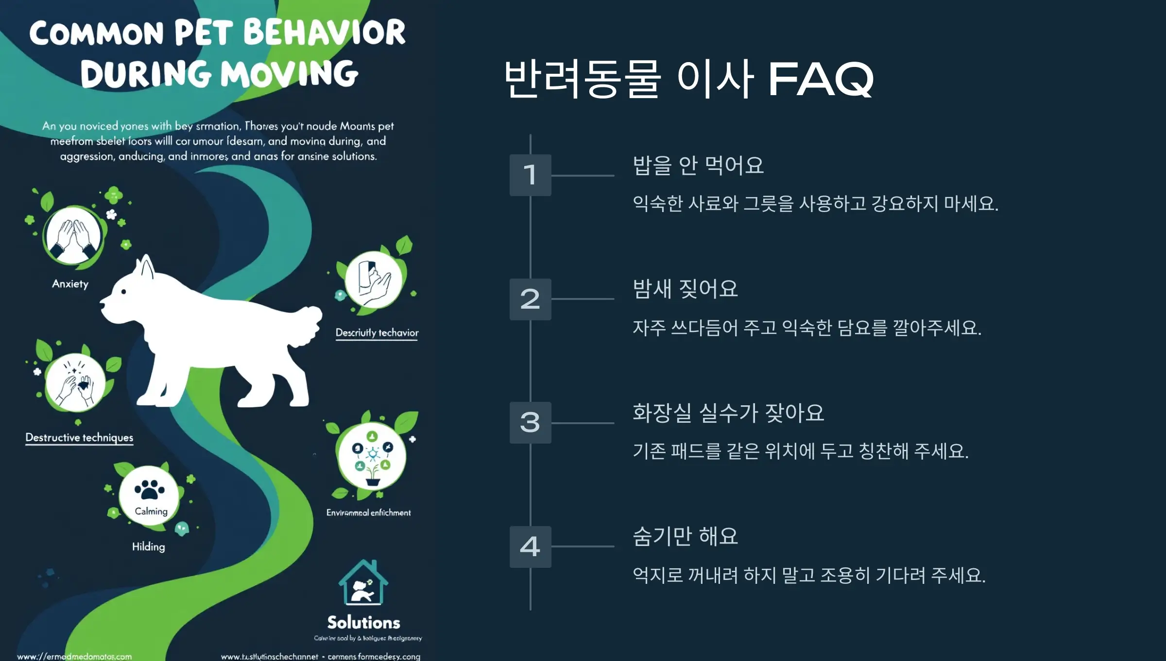 애완동물 안전 이사