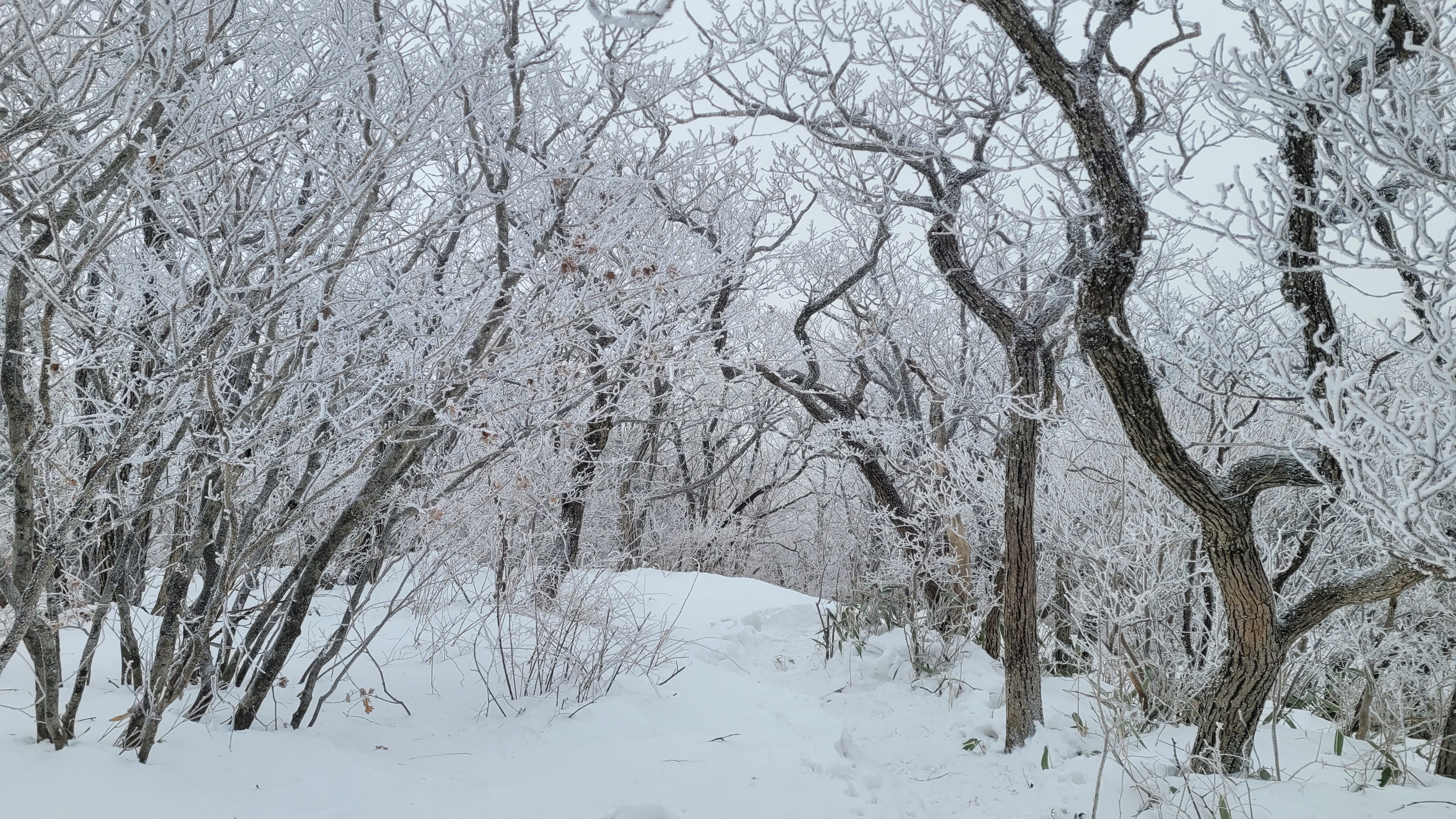 20221228_122158.jpg