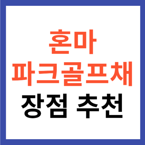 혼마 파크골프채 장점 단점 추천 제품