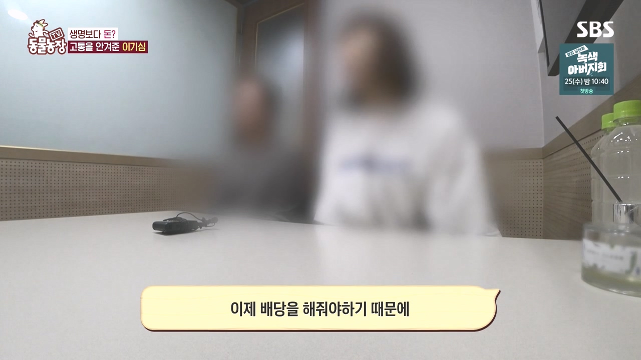 TV 동물농장.E1142.231023p-NEXT.mp4_20231022_173455.995.jpg