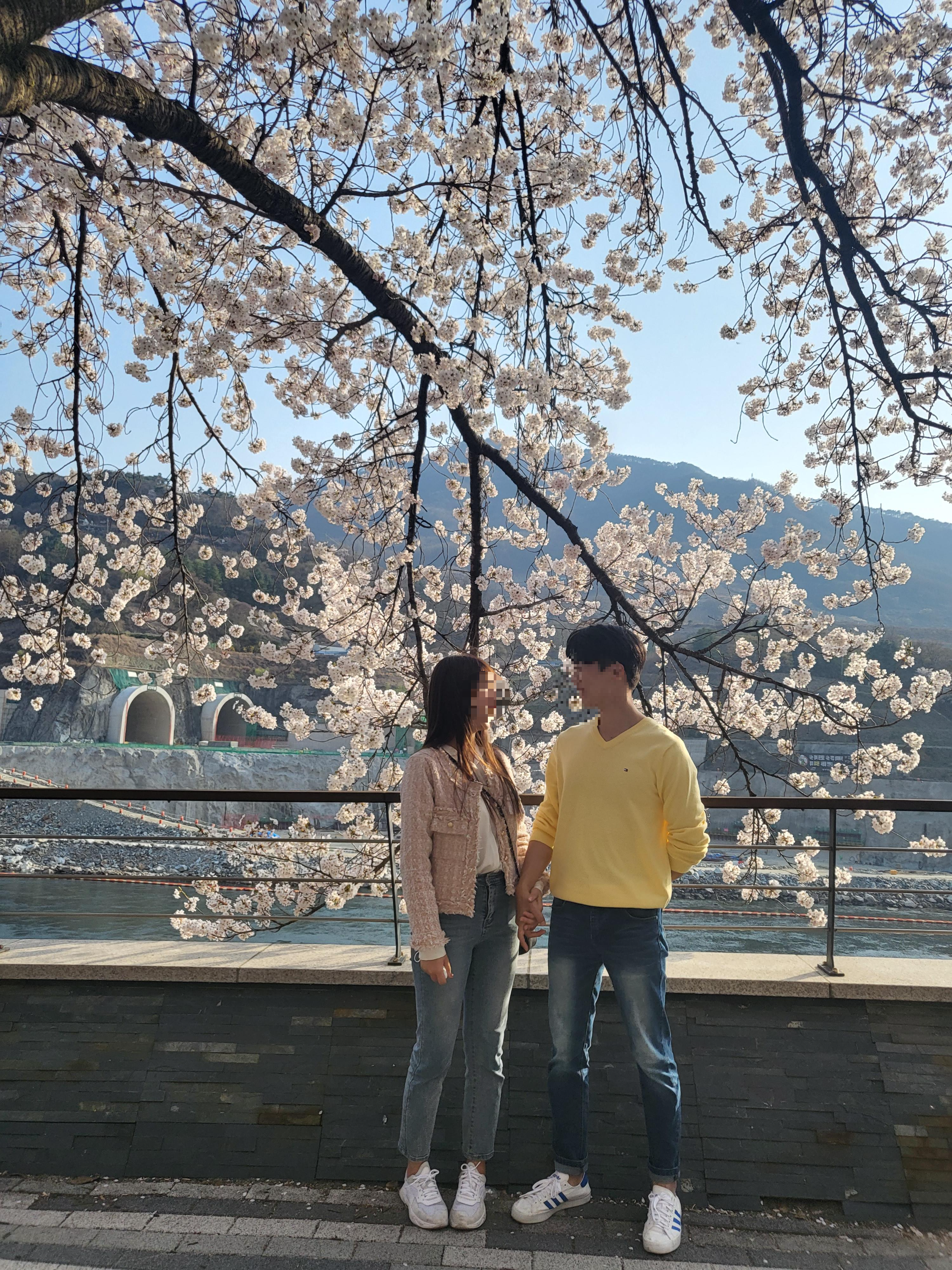 충주 벚꽃 데이트