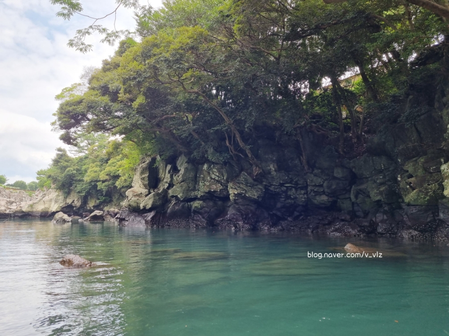 함께라면 전통테우 탑승 후기 제주 쇠소깍 어린 아이들과 33