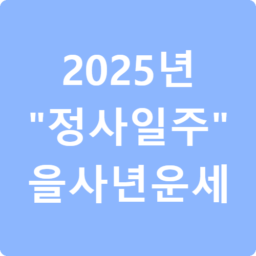 2025년 정사일주 을사년 운세