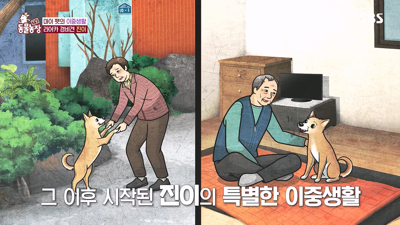 TV 동물농장.E1153.240108p-NEXT.mp4_20240107_173840.897.jpg