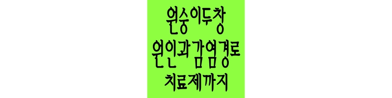 원숭이두창에 대한 설명&#44; 원인&#44; 백신 및 치료제 등에 대한 포스팅을 위한 썸네일