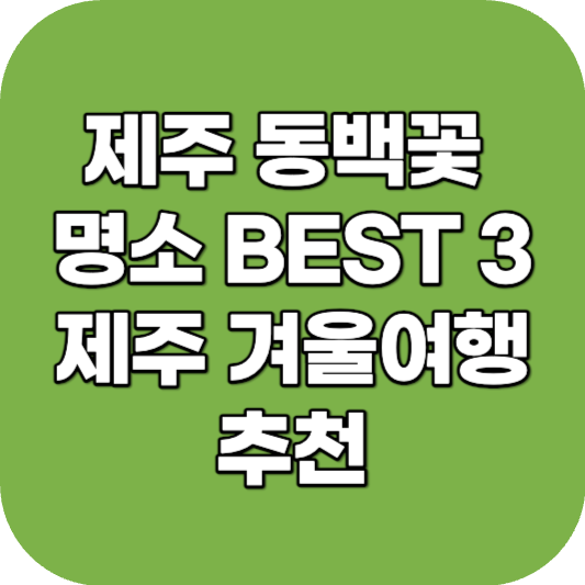 제주 동백꽃 명소 BEST 3