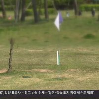  마늘의 부작용