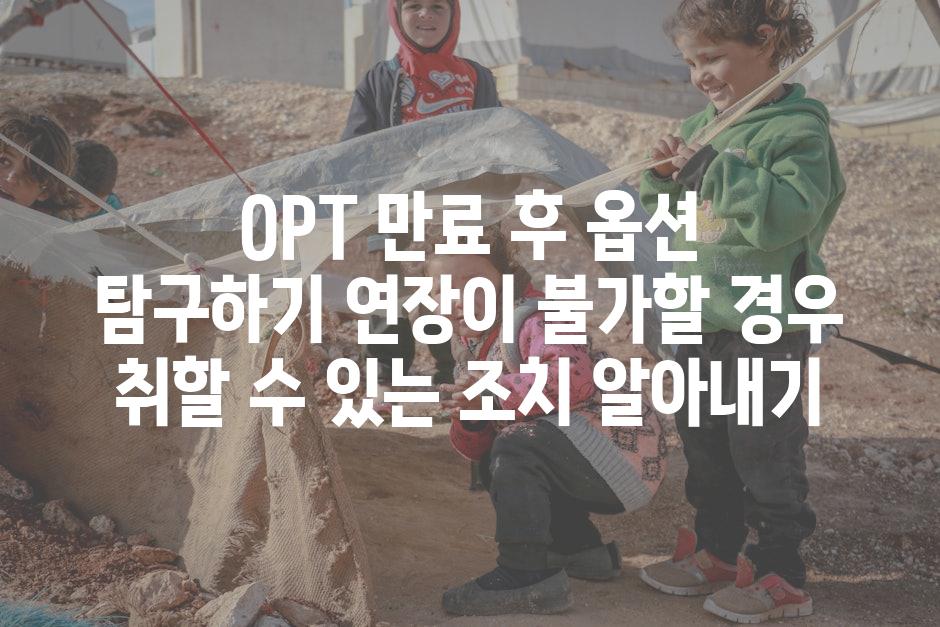 OPT 만료 후 옵션 탐구하기 연장이 불가할 경우 취할 수 있는 조치 알아내기