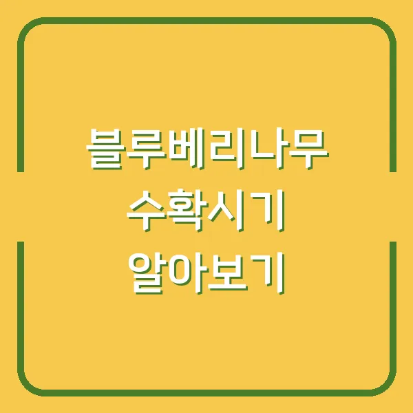 블루베리나무 수확시기 알아보기