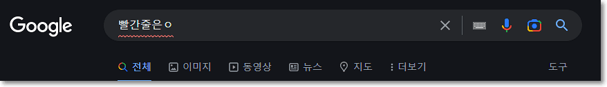 크롬 빨간줄 표시 문제