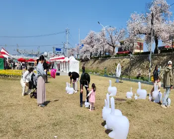 정읍 벚꽃축제_4