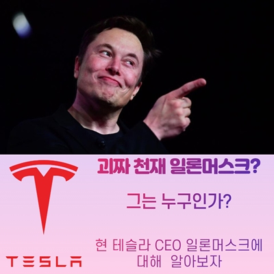  테슬라 CEO 일론머스크 총정리