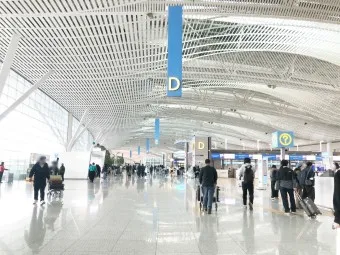 인천공항 제1 여객터미널 취항 항공사 정보_22