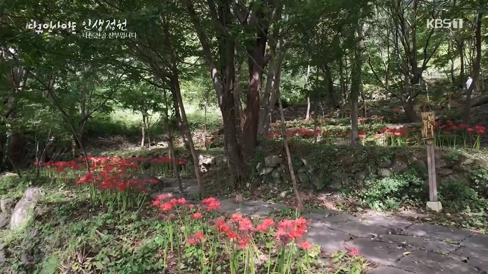 다큐 인사이트.E153.230608p.H264-F1RST.mp4_20230612_204526.566.jpg