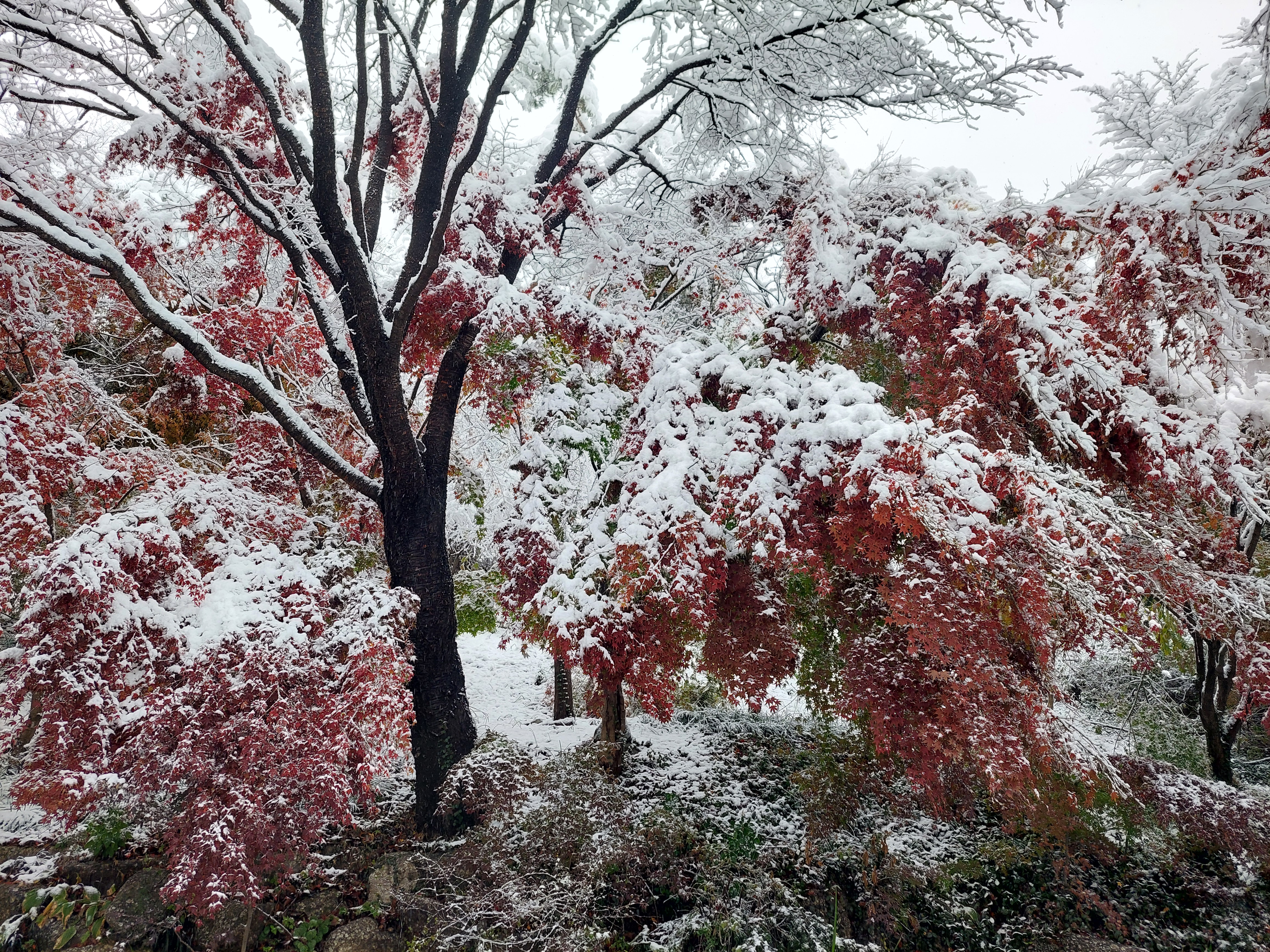 백련산안산