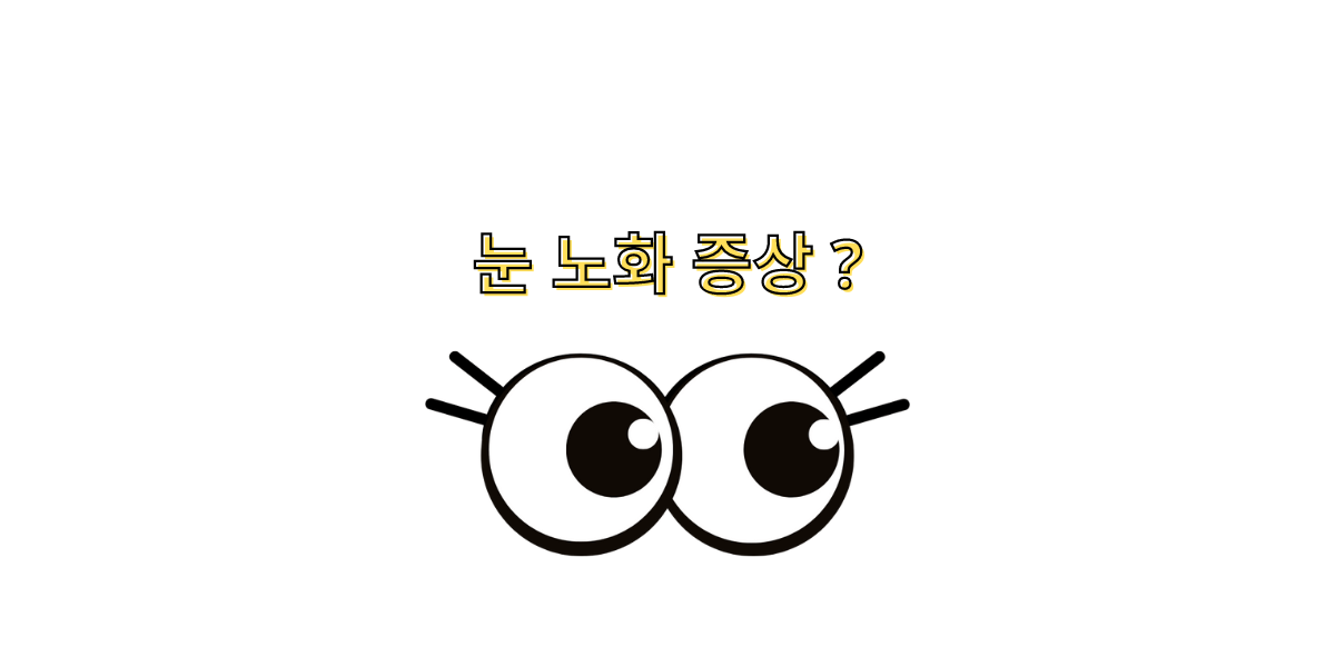 눈 노화 증상