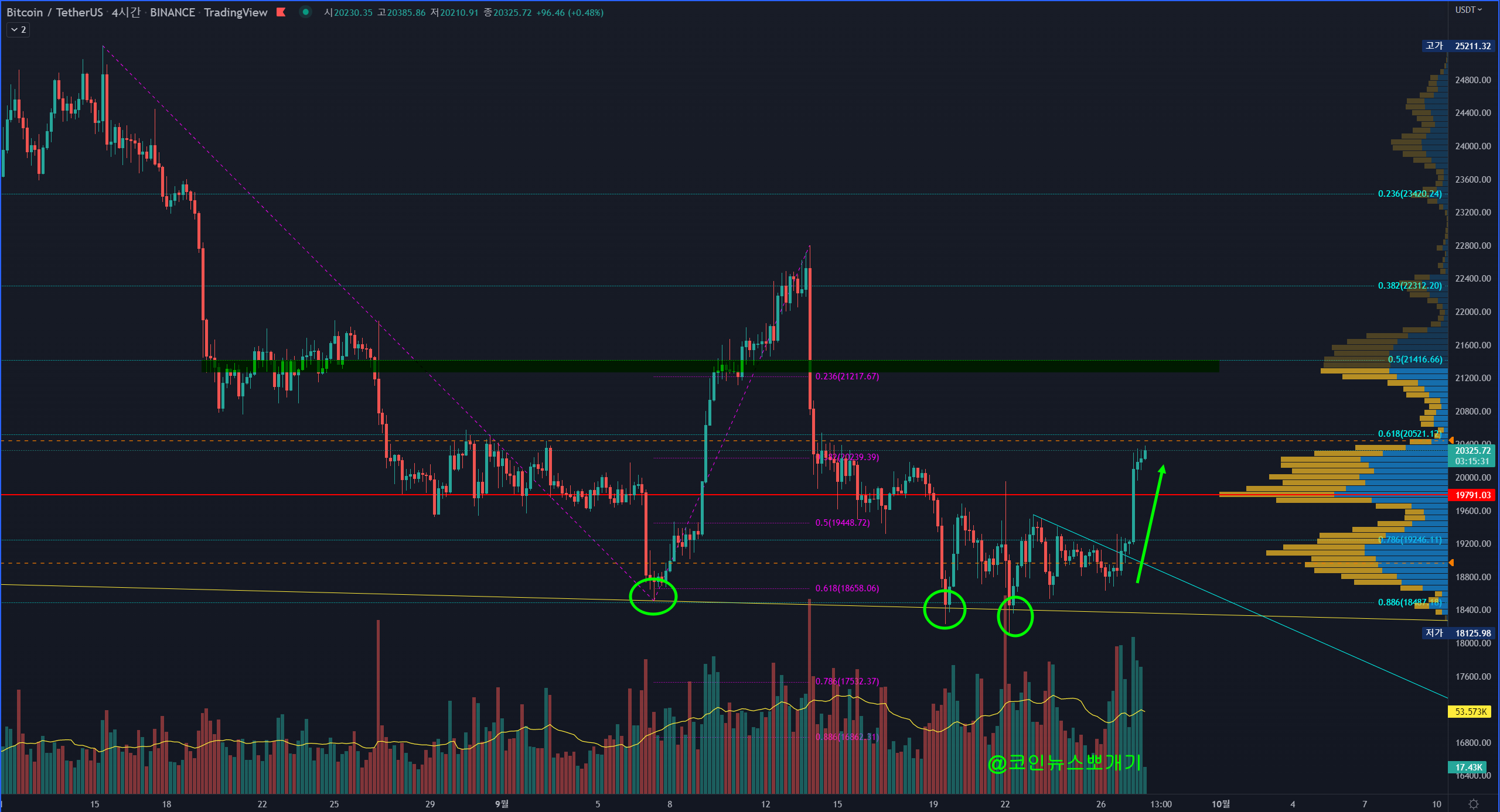 비트코인-알트코인-달러-SPX-S&P500-전망-차트-분석-온체인-가상자산-가상화폐-암호화폐-경제-거시경제-데리비트-옵션만기