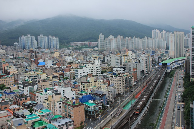 수원역-부산역 KTX 새마을호 무궁화호 열차 시간표 운임 요금4