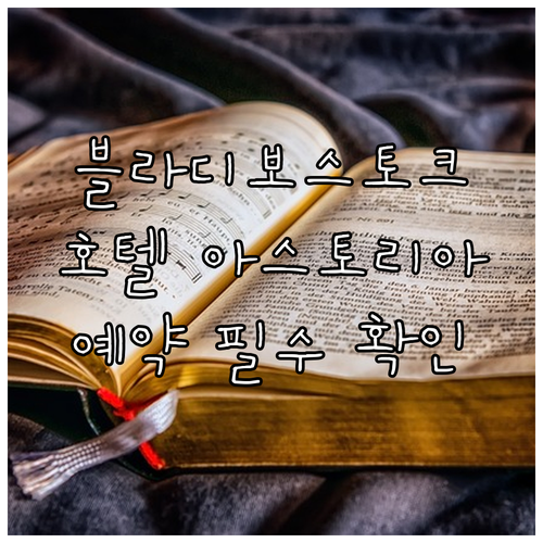 블라디보스토크 호텔 아스토리아 특징 