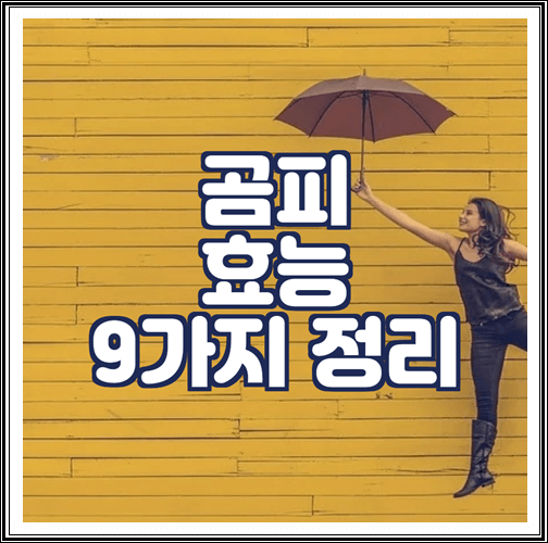  곰피 효능 9가지 정리