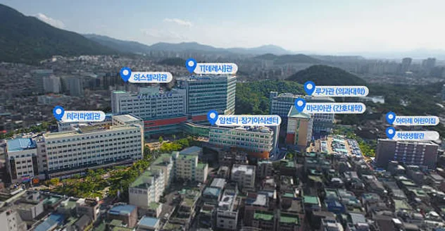 대구가톨릭대학교병원