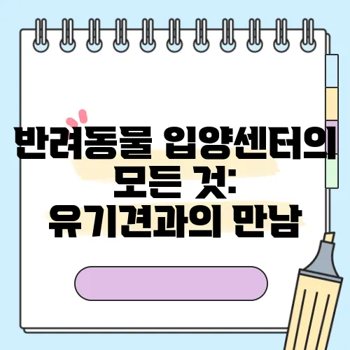 반려동물 입양센터의 모든 것: 유기견과의 만남