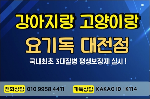  세종강아지분양 합리적인 곳에서 분양했어요!