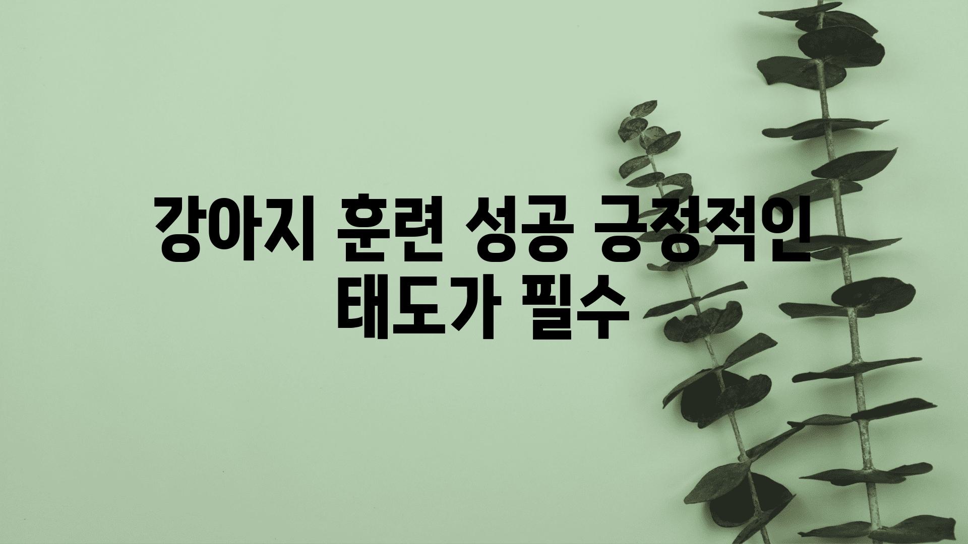 강아지 훈련 성공 긍정적인 태도가 필수