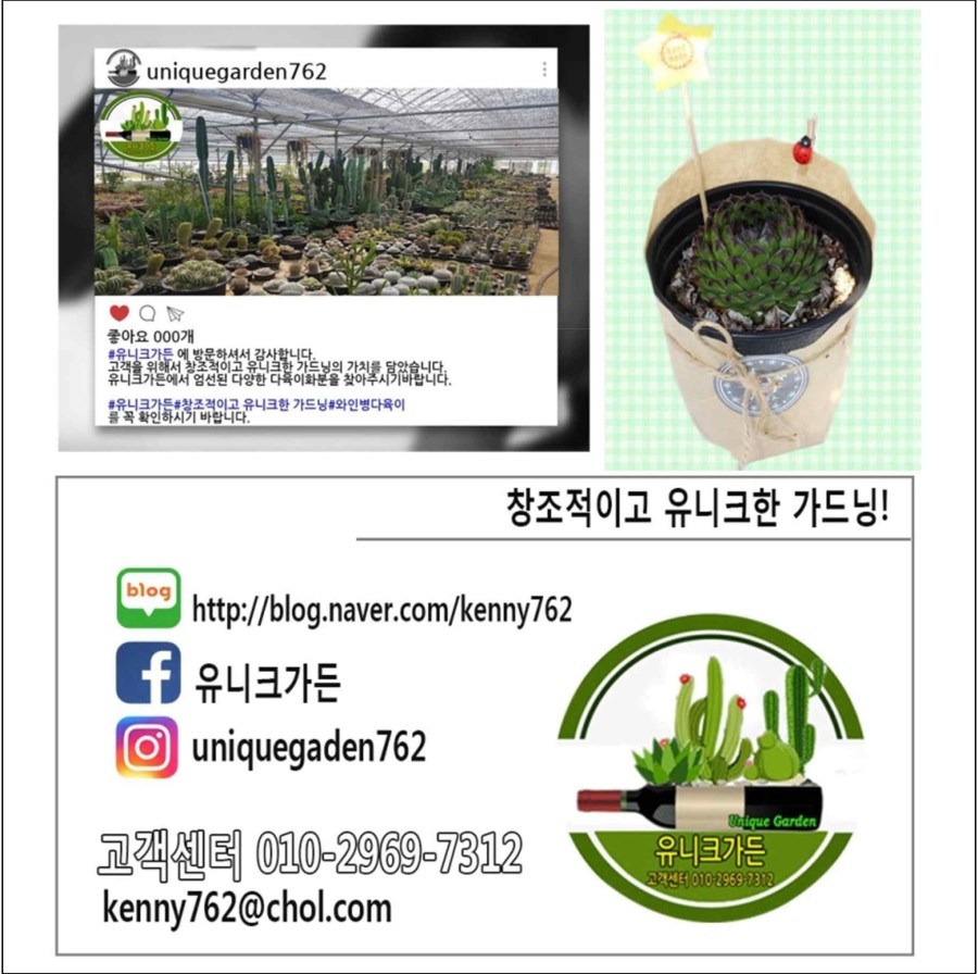  다육이를 어떻게 물주기 해야하나요?-유니크가든