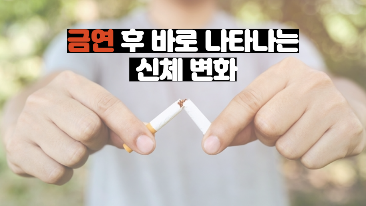  금연 후 바로 나타나는 몸의 변화/ 금연 후 신체변화 (20분~15년)