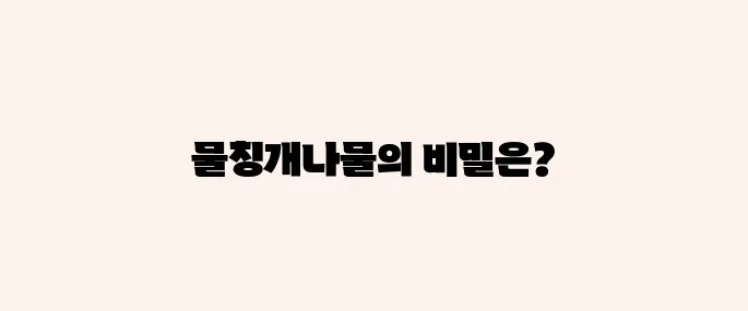 물칭개나물 효능, 부작용 및 활용법