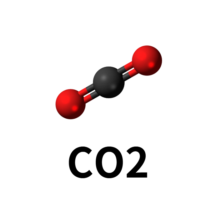 이산화탄소의 역할
