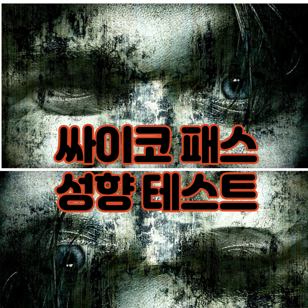  (Psycho 테스트) 나의 사이코패스 지수는 몇점?