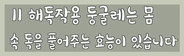  11 해독작용 둥굴레는 몸 속 독을 풀어주는 효능이 있습니다