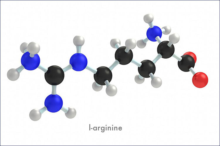 아르기닌 (Arginine)