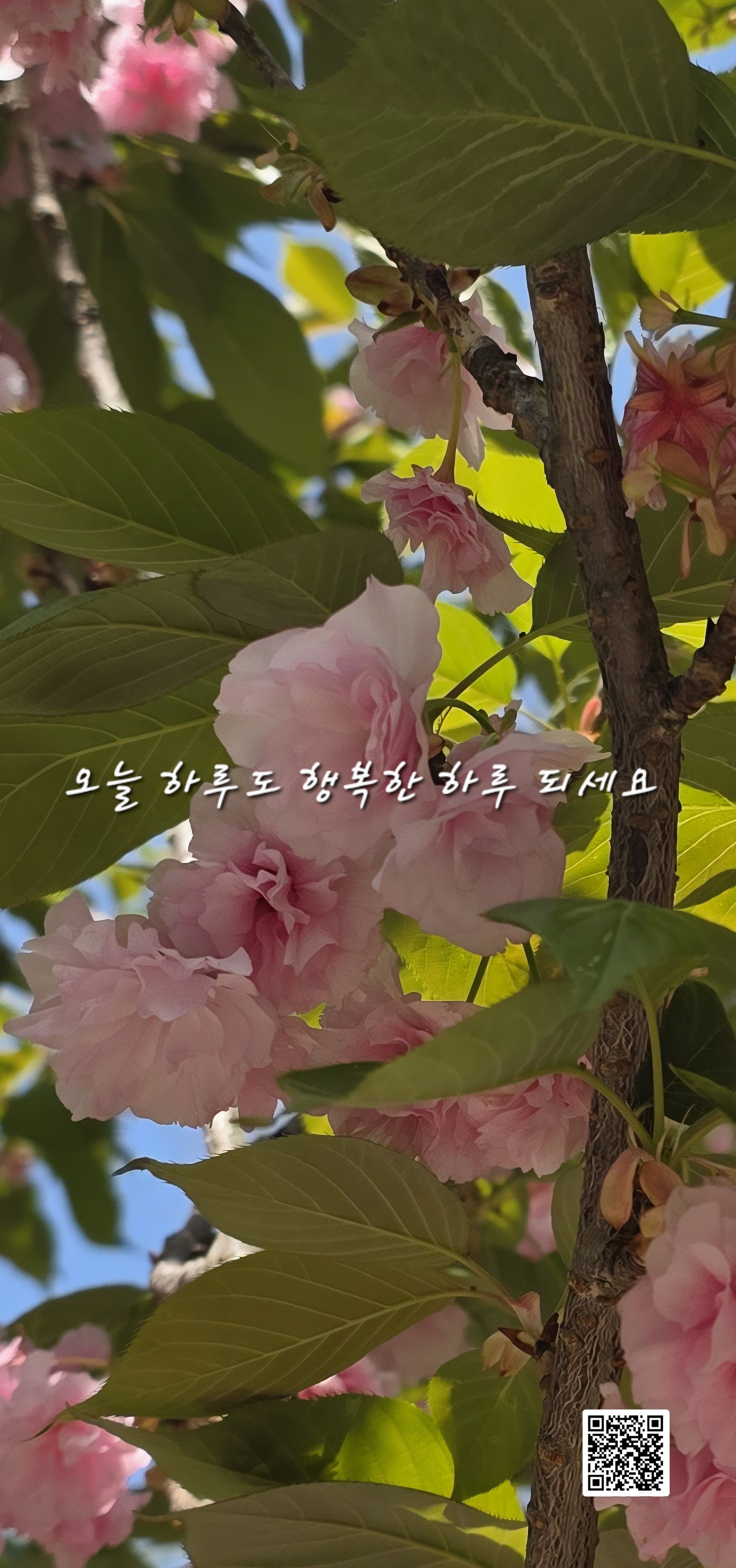 만남 이미지