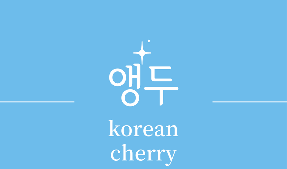 &#39;앵두(korean cherry)&#39;