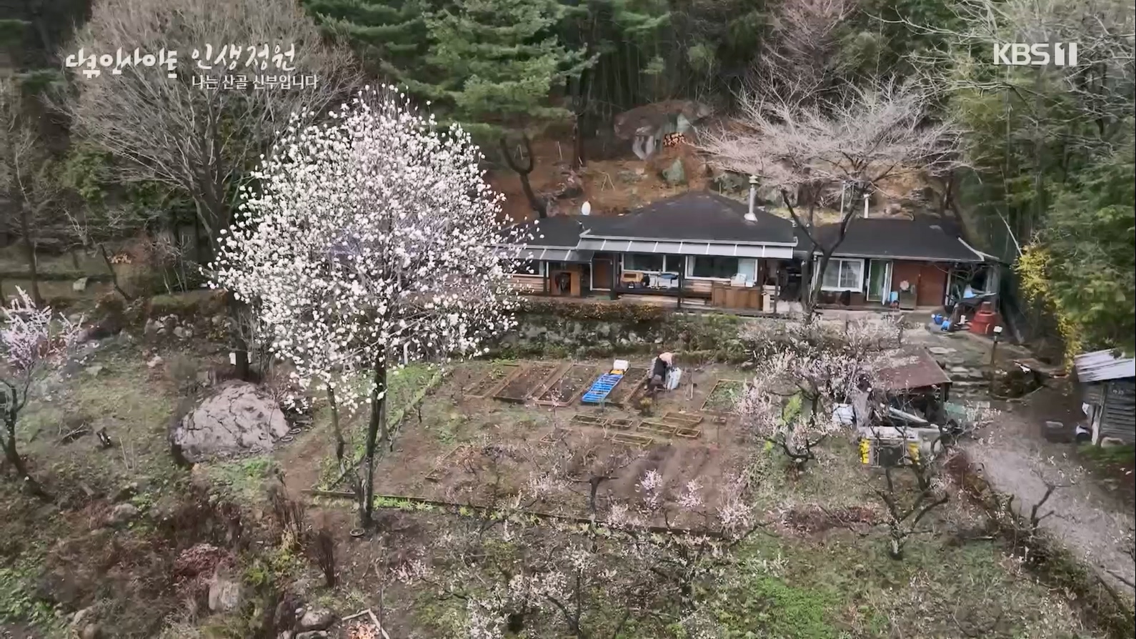 다큐 인사이트.E153.230608p.H264-F1RST.mp4_20230612_204108.906.jpg
