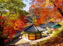 용문사