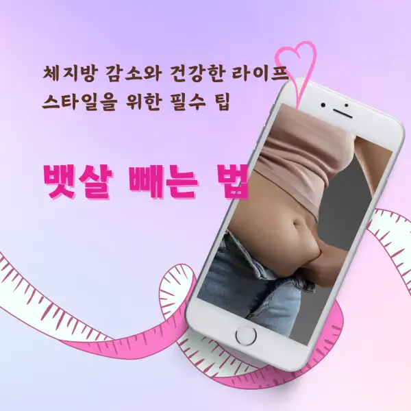 뱃살 빼는 법 완벽 가이드