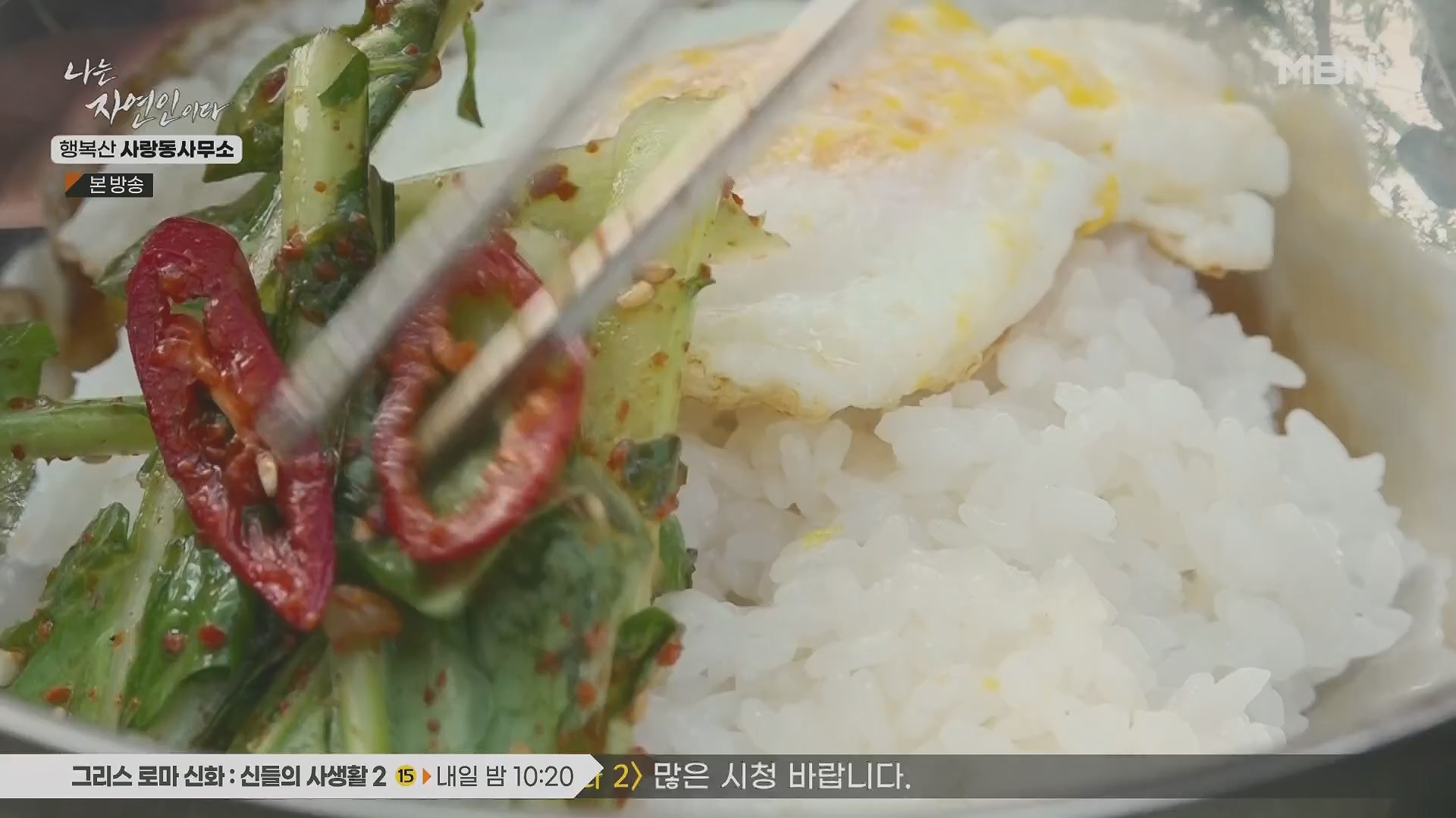 나는 자연인이다.E552.230503p.H264-F1RST.mp4_20230504_200321.625.jpg