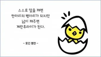 웃긴 명언 모음 웃긴 술명언 100선_12