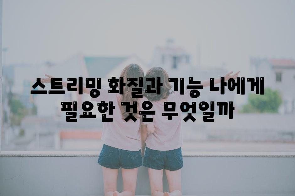 스트리밍 화질과 기능 나에게 필요한 것은 무엇일까