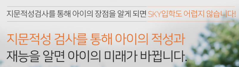  아이의 재능을 미리 찾을 수 있는 검사, 지문적성검사