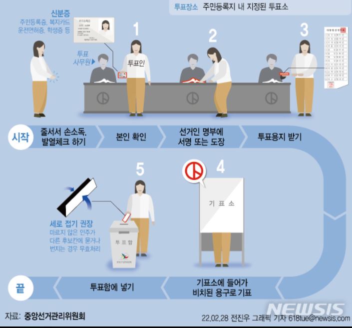 투표