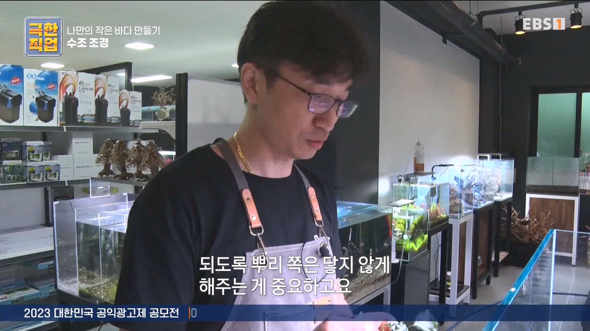 [극한 직업] 수조 조경.mp4_20230822_204227.460.jpg